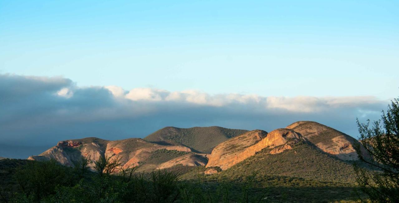 Thabile Lodge Oudtshoorn Dış mekan fotoğraf