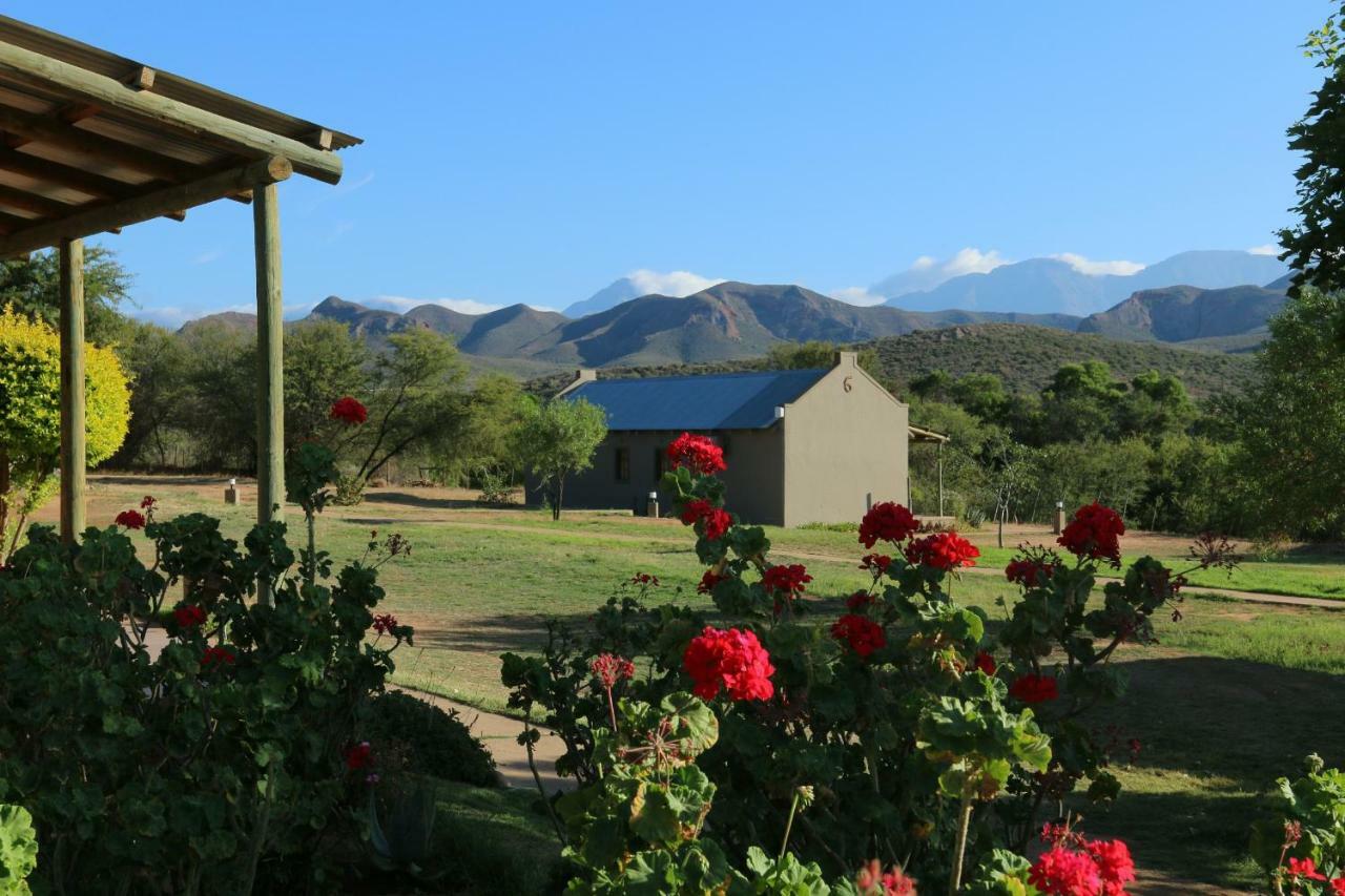 Thabile Lodge Oudtshoorn Dış mekan fotoğraf