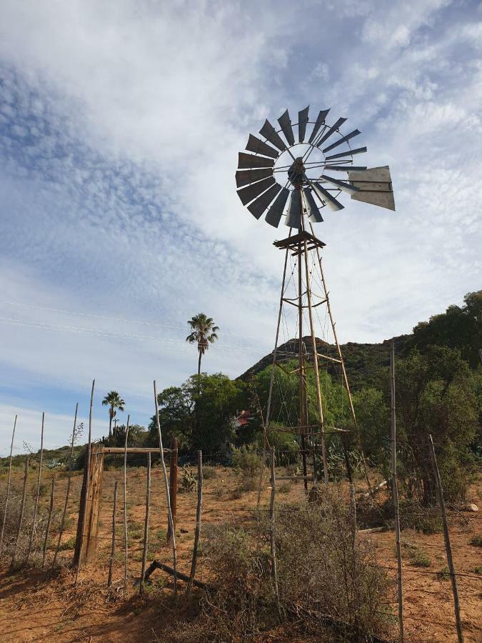 Thabile Lodge Oudtshoorn Dış mekan fotoğraf