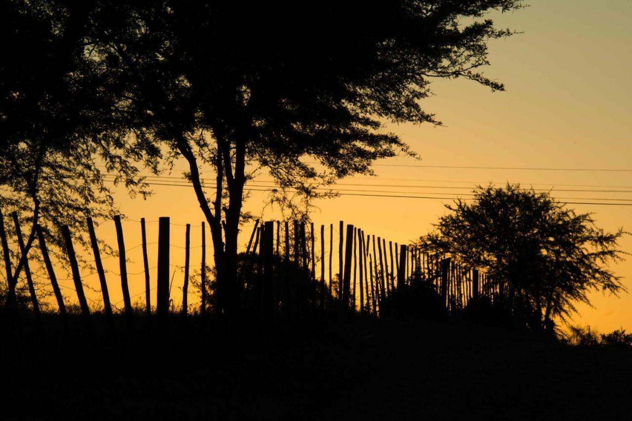 Thabile Lodge Oudtshoorn Dış mekan fotoğraf