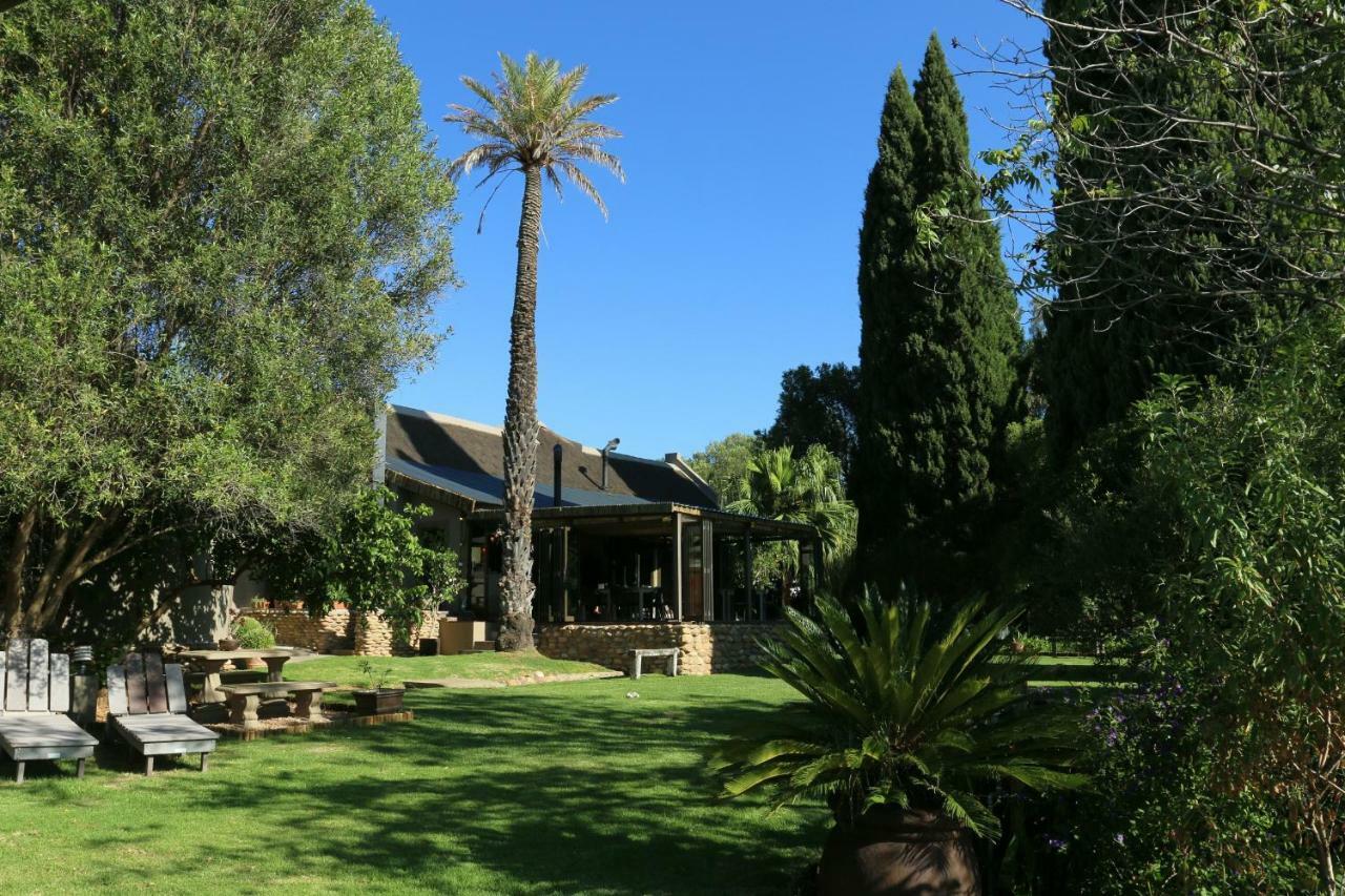 Thabile Lodge Oudtshoorn Dış mekan fotoğraf