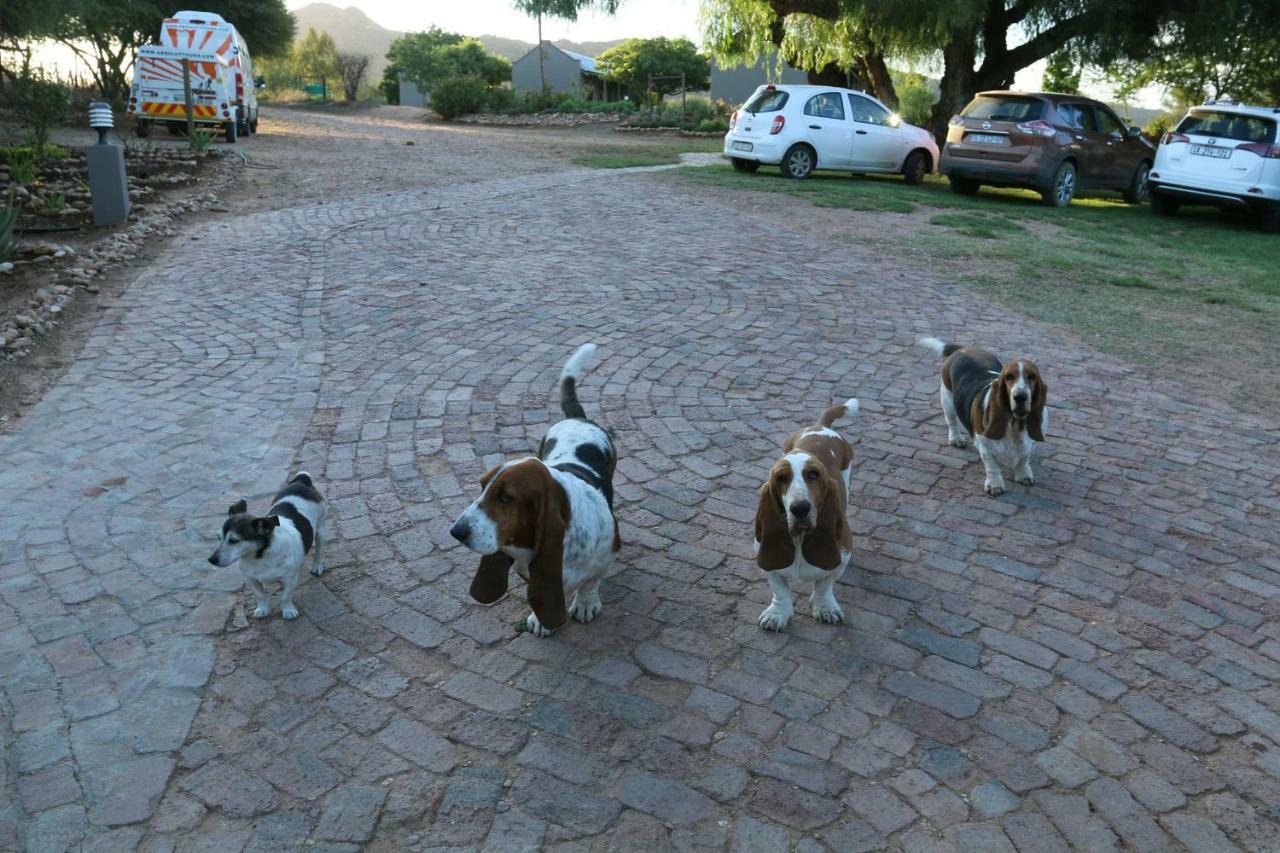 Thabile Lodge Oudtshoorn Dış mekan fotoğraf